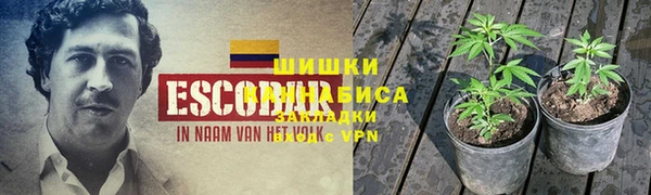 ГАЛЛЮЦИНОГЕННЫЕ ГРИБЫ Абдулино