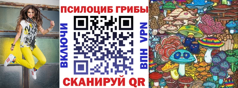 Галлюциногенные грибы Psilocybe  Алатырь 