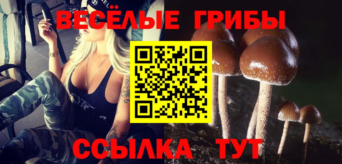 Псилоцибиновые грибы мухоморы  Псилоцибиновые грибы Psilocybe  Вход с VPN  Алатырь 